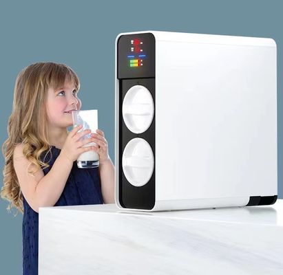 활성화된 탄소 가정 물 정화기 PPC RO Tankless Undersink 급수 여과기